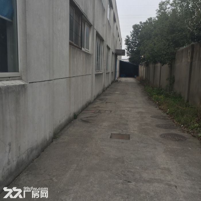 新吴区旺庄1500平厂房出租 行车两台-图4