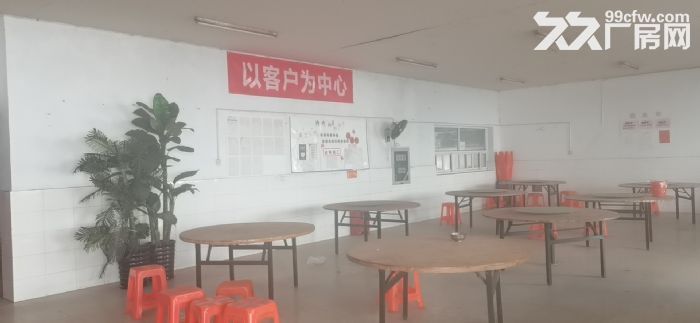 惠山区堰桥单层厂房6000平出租 随意分割-图3