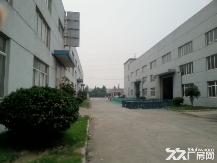 新吴区硕放3650平厂房出租 有牛腿-图2