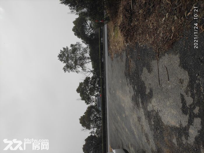 宜兴市周铁镇下邾街非标准厂房出租-图3