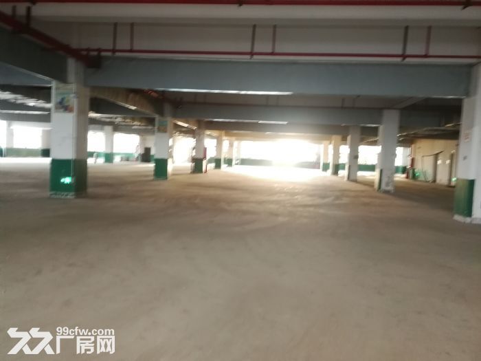 新区独栋7466平米厂房出租-图2