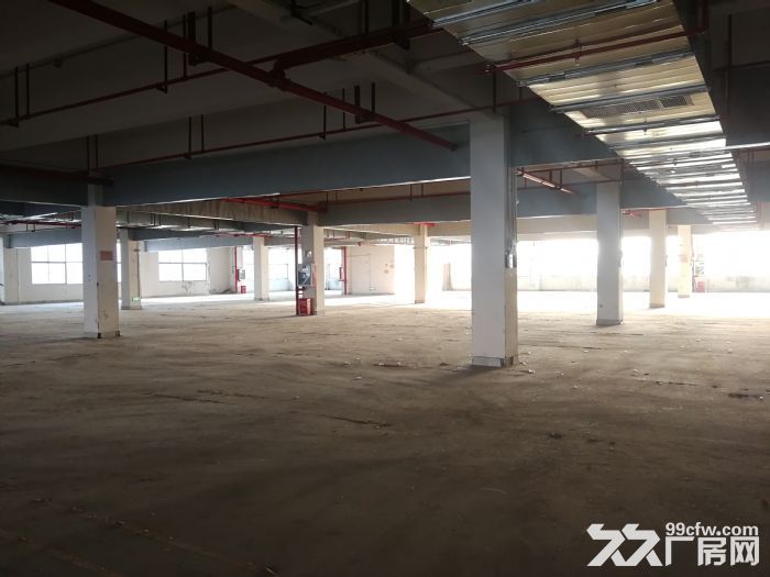新区独栋7466平米厂房出租-图4
