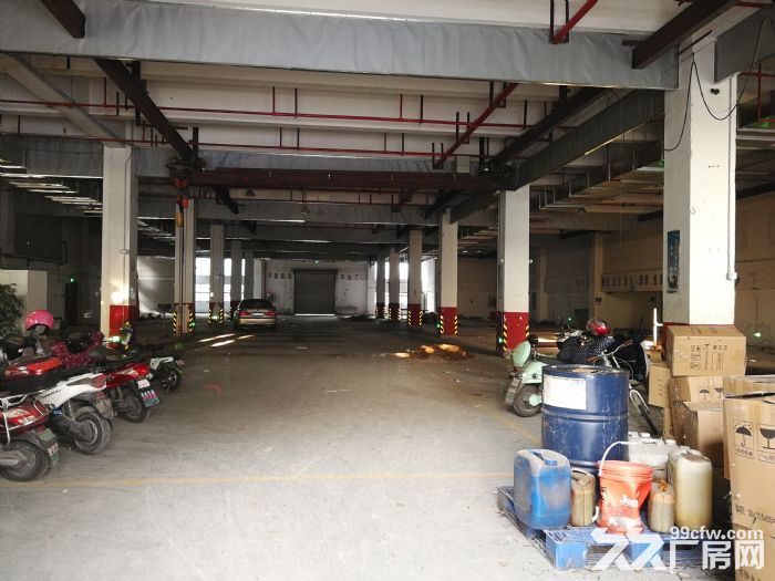 新区独栋7466平米厂房出租-图3