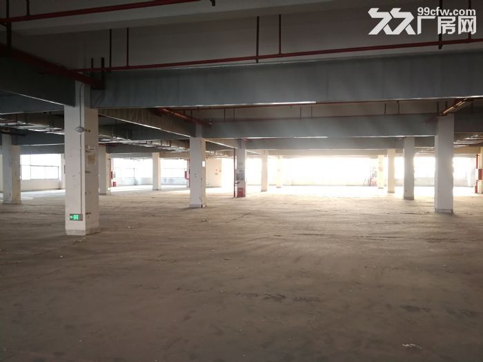 新区独栋7466平米厂房出租-图5