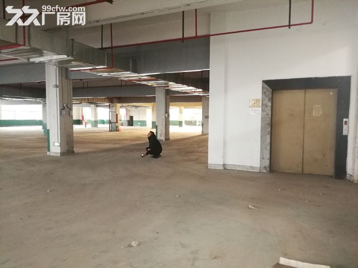 新区独栋7466平米厂房出租-图7