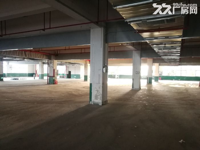 新区独栋7466平米厂房出租-图8