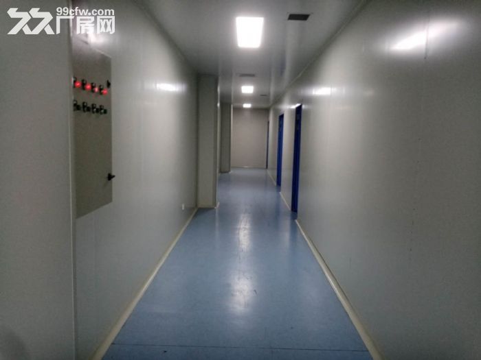 堰桥工业园三楼1200平整层仓库，可做展厅、淘宝电商