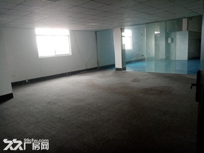 堰桥工业园三楼1200平整层仓库，可做展厅、淘宝电商-图3