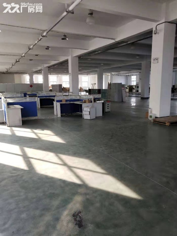堰桥工业园4800平全新独栋双层厂房，适合医疗、电子、精加工行业-图3