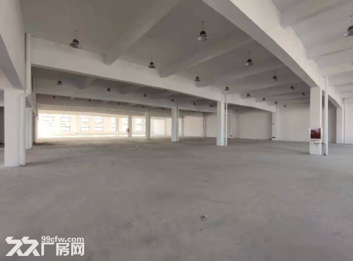 轻工厂房2000平方出租有电梯有独立办公区域