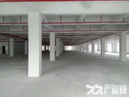 新厂房一楼2000平，一楼2500平高六米二楼4000平有办公楼-图2