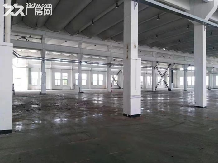 硕放1800平米单层厂房出租-图2