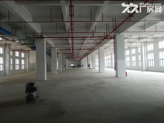 新厂房一楼2000平，一楼2500平高六米二楼4000平有办公楼
