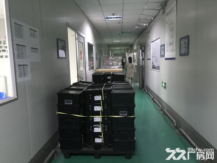 出租新区旺庄花园式独栋双层厂房4000平 环境一流-图2