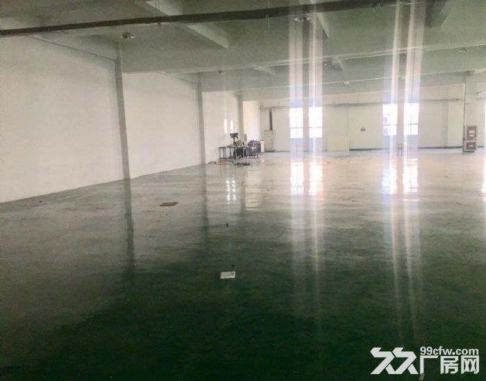 新区 鸿山 鸿福路 厂房出租-图3