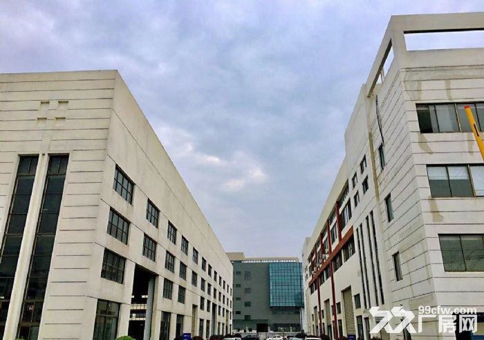 新区 鸿山 鸿福路 厂房出租-图2