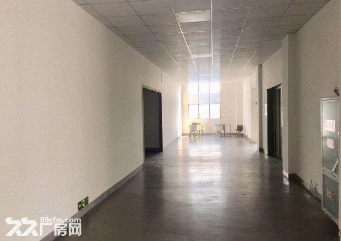 新区 鸿山 鸿福路 厂房出租-图4