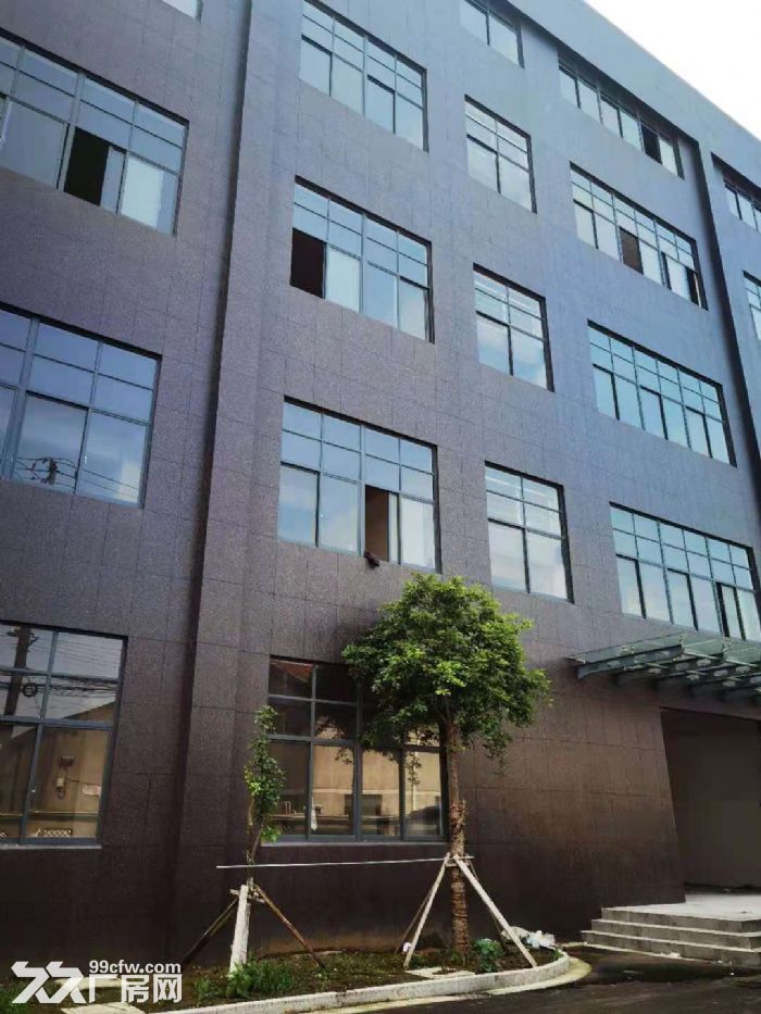 二楼带环氧地坪，有独立办公室新厂房，有货梯和客梯，环境好-图3