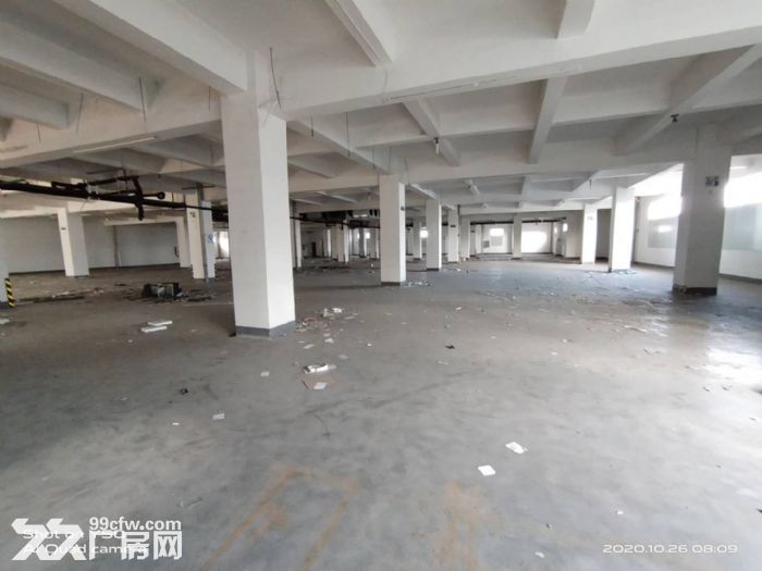 八士一楼独立厂房仓库700平-图5