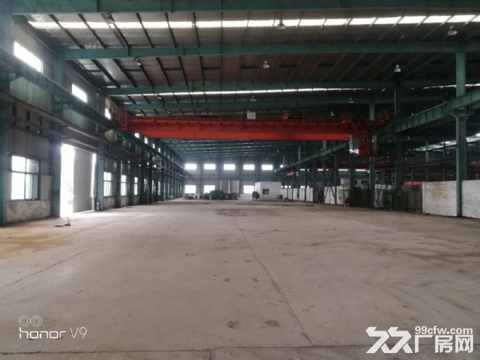 新区旺庄20000平单层标准机械厂房 独门独院 适合的行业居多