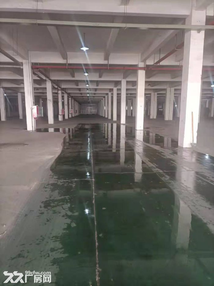 锡山东亭 单1层厂房1500平分租！层高5.5米-图2