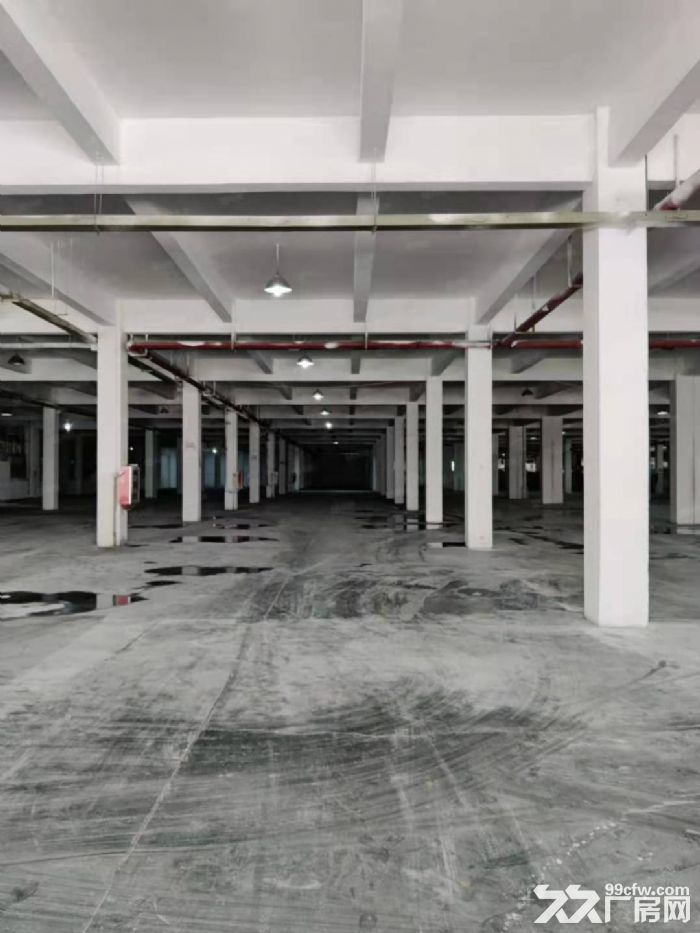 锡山东亭 单1层厂房1500平分租！层高5.5米-图3