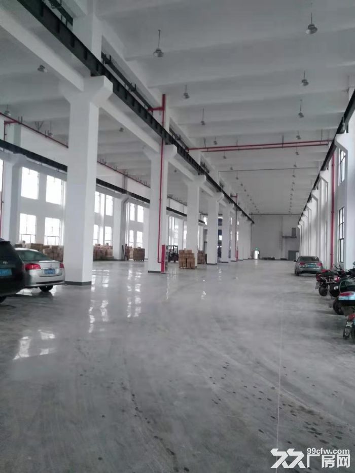 春晖路一楼450平，550平800平1500平3000平高5.5米-图5