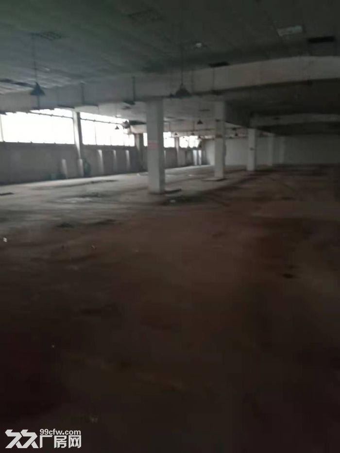 春晖路一楼450平，550平800平1500平3000平高5.5米-图8