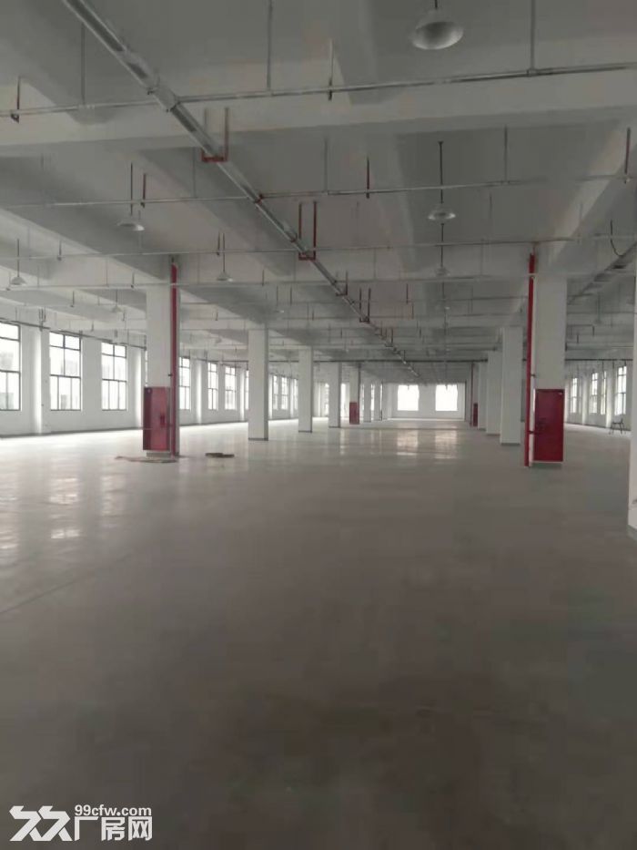 独门独钢构一楼400平空地600平，一楼500平和一楼1200平-图3