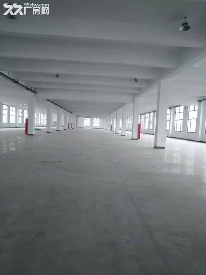 一楼350平，二楼350平有货梯，另有一楼240平，张泾一楼600平-图4