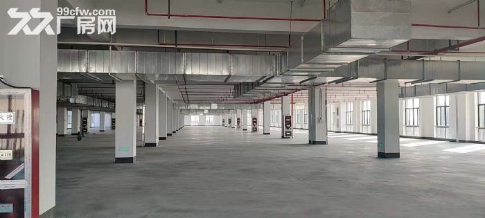 锡山区东港22000平米独栋全新厂房出租-图2