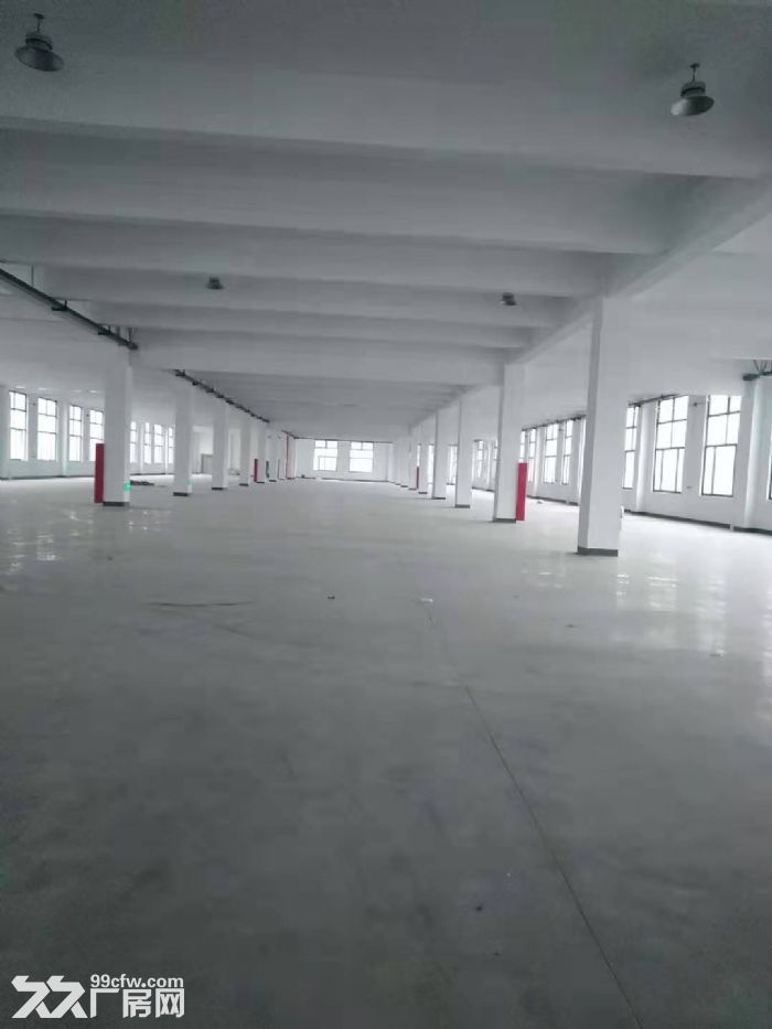 新建独立一楼3240平，高12米，5吨行车，大车好进出-图3