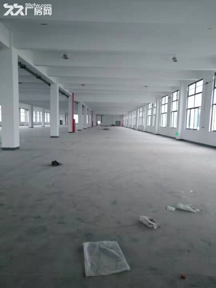 新建独立一楼3240平，高12米，5吨行车，大车好进出-图5