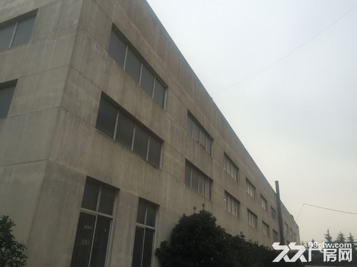 新区旺庄新华路与锡梅路附近大型园区15000平方独栋厂房出租
