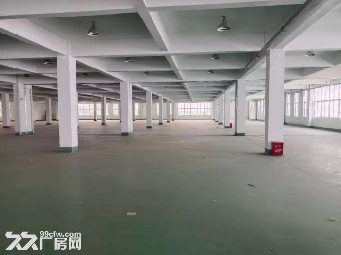 芳桥标准二楼厂房3450平出租  带货梯 价格低-图2