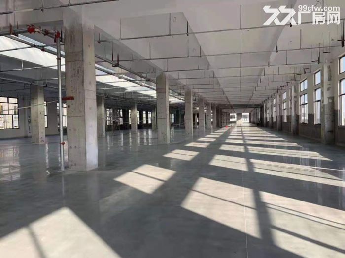 锡山区东港园区5000平多层厂房出租-图3