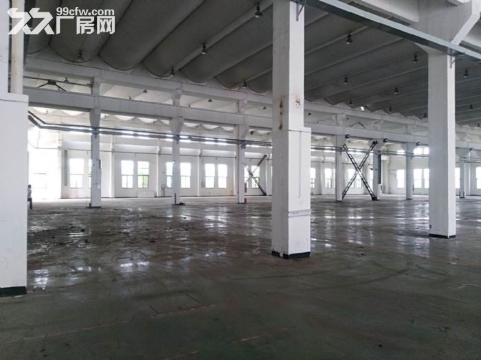 洛社街道单层仓库出租！一跨2200平起租！