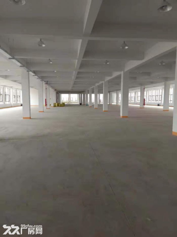 包做板式家具有环评可分租大货梯3.5米4米，工业园区