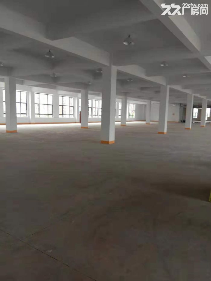 包做板式家具有环评可分租大货梯3.5米4米，工业园区-图6