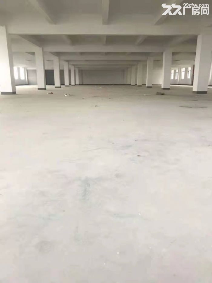 包做板式家具有环评可分租大货梯3.5米4米，工业园区-图8