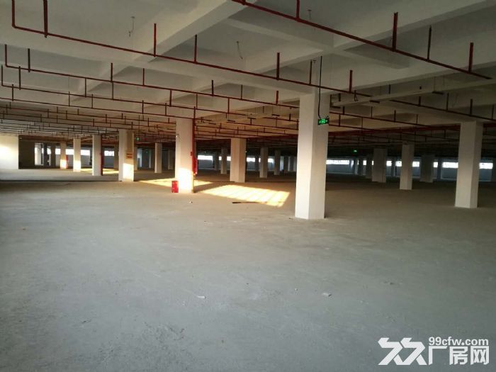 新区新加坡工业旺庄底层1500平厂房地段好交通方便丙类消防