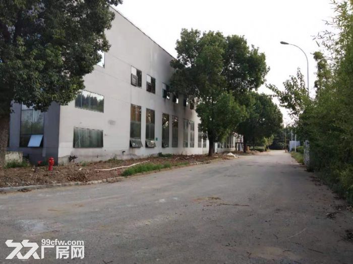 无锡东港一楼2000平标准厂房招租-图5