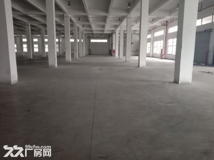 锡山6000平标准厂房招租可分租-图3