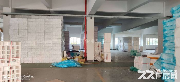 硕放 独栋 原房东 环氧地坪 大车好进出 带行车 带货梯！！-图2