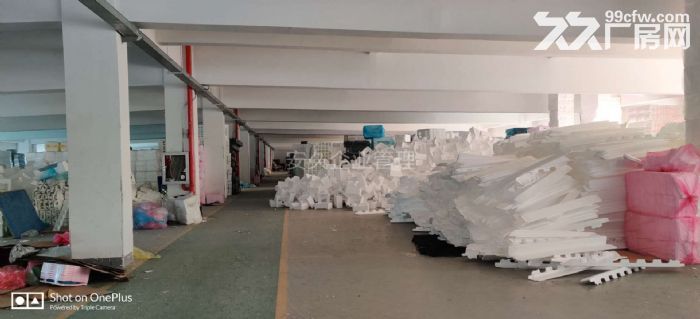 硕放 独栋 原房东 环氧地坪 大车好进出 带行车 带货梯！！-图3