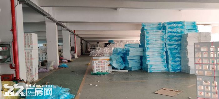 硕放 独栋 原房东 环氧地坪 大车好进出 带行车 带货梯！！-图5