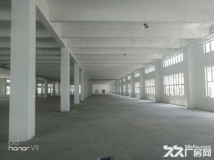 硕放单层独门独院单层带行车-图2