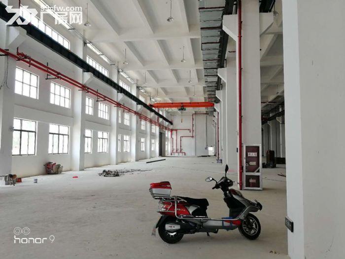 旺庄 单层 独门 环氧地坪 原房东 大车好进出 价格便宜-图3